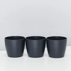 Elho Plant + Pot Multi Packs Mini Eco Gifting Pots With Cacti