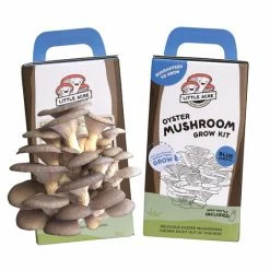 Little Acre Gourmet Mushrooms Blue Oyster Mushroom Grow Kit Gift Kits