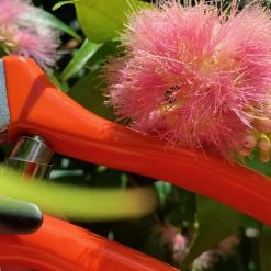 Outdoor Accessories Burgon & Ball RHS Bypass Secateur