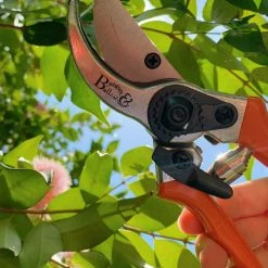 Outdoor Accessories Burgon & Ball RHS Bypass Secateur