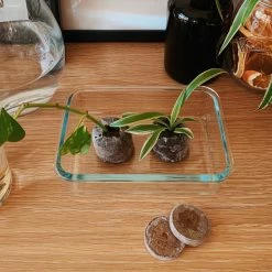 Fernland Jiffy Seed Pellet Outdoor Accessories