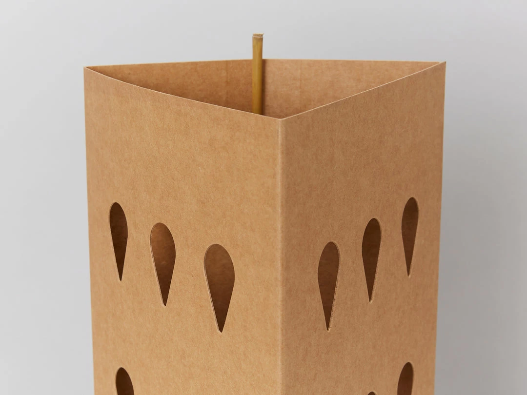 GreenGuard Biodegradable Plant Shield ♻️ 4 GreenGuard Biodegradable Plant Shield ♻️