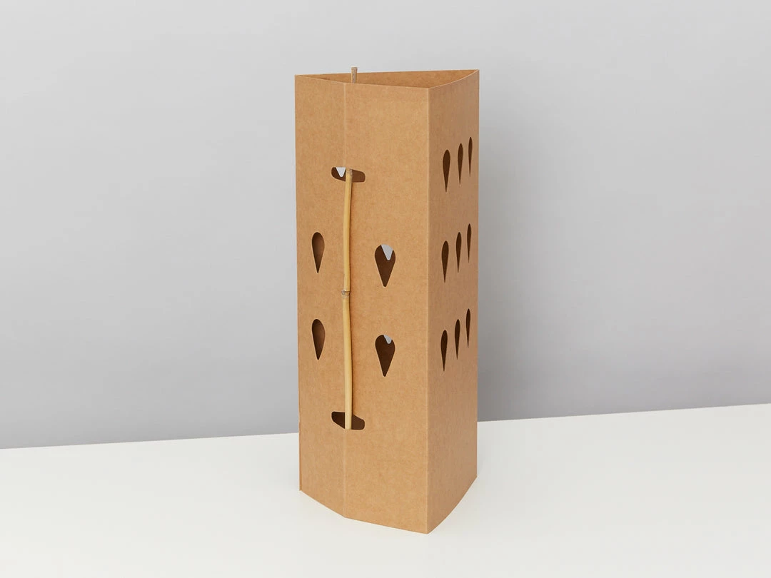 GreenGuard Biodegradable Plant Shield ♻️ 3 GreenGuard Biodegradable Plant Shield ♻️