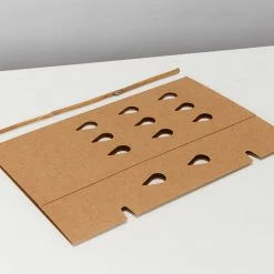 GreenGuard Biodegradable Plant Shield ♻️ 9 GreenGuard Biodegradable Plant Shield ♻️