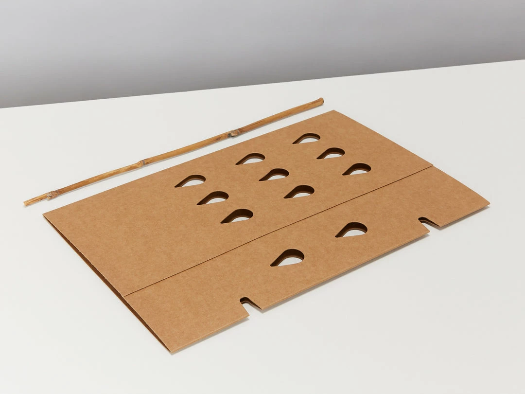 GreenGuard Biodegradable Plant Shield ♻️ 5 GreenGuard Biodegradable Plant Shield ♻️