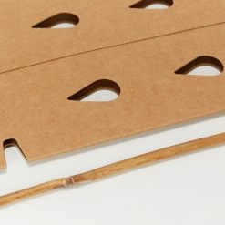 GreenGuard Biodegradable Plant Shield ♻️ 10 GreenGuard Biodegradable Plant Shield ♻️