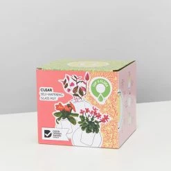 Plants In A Box Clear Glass Self-Watering Planter