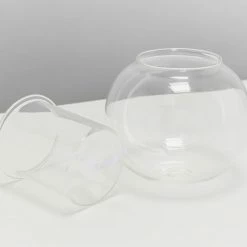 Plants In A Box Clear Glass Self-Watering Planter