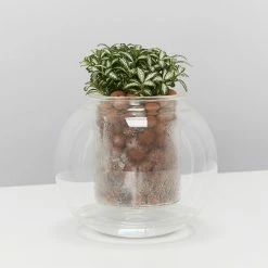 LECA - Canna Aqua Clay Balls 1L Bags Outdoor Accessories 16 LECA - Canna Aqua Clay Balls 1L Bags Outdoor Accessories