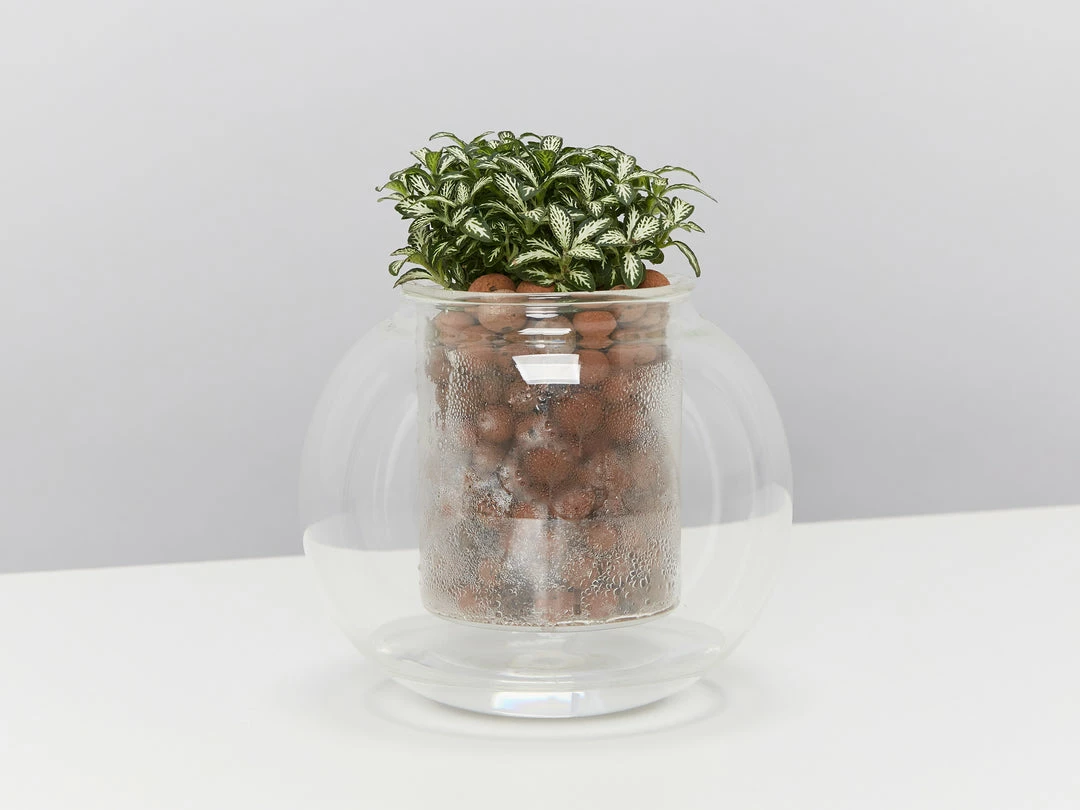 LECA - Canna Aqua Clay Balls 1L Bags Outdoor Accessories 8 LECA - Canna Aqua Clay Balls 1L Bags Outdoor Accessories