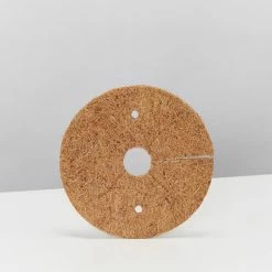 Pot + Plant Gift Box Monstera Deliciosa - Pot + Plant + Soil Birthday