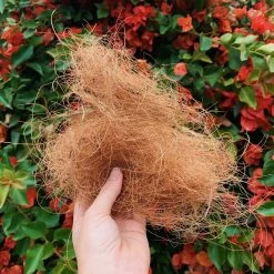 Plants In A Box Outdoor Accessories Coconut Coir (loose Bag)