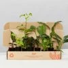 Indoor Garden Easy Care Plants Dark Matters Low Light Indoor Plant Pack