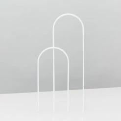 Pot + Plant Gift Box Rhaphidophora Gift Box - Pot + Plant + Soil + Double Arch Stake Easy Care Plants