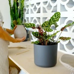 Elho Pots & Hanging Baskets Round Eco-Friendly Planters - Self-Watering