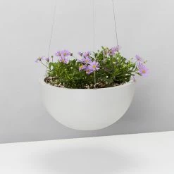 Indoor Garden Eco Hanging Baskets + Plants Combo Plant + Pot Multi Packs