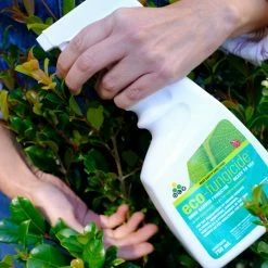 Outdoor Accessories Eco Organic Fungicide