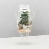 Plants In A Box Elho Aqua Care ♻️ - Watering System Transparent