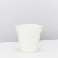 Elho Outdoor Accessories Eco-Friendly Grow Pots - Inserts For Pots