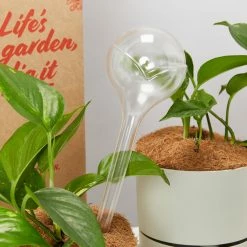 Plants In A Box Elho Aqua Care ♻️ - Watering System Transparent