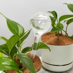 Plants In A Box Elho Aqua Care ♻️ - Watering System Transparent