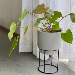 Elho Plant Stakes & Stands Eco Friendly ♻️ - Pot & Stand