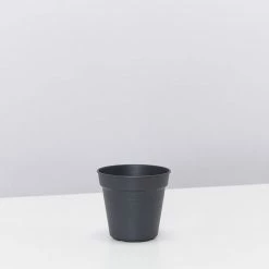 Elho Eco-Friendly Grow Pots Green Basics - Propagation Pack