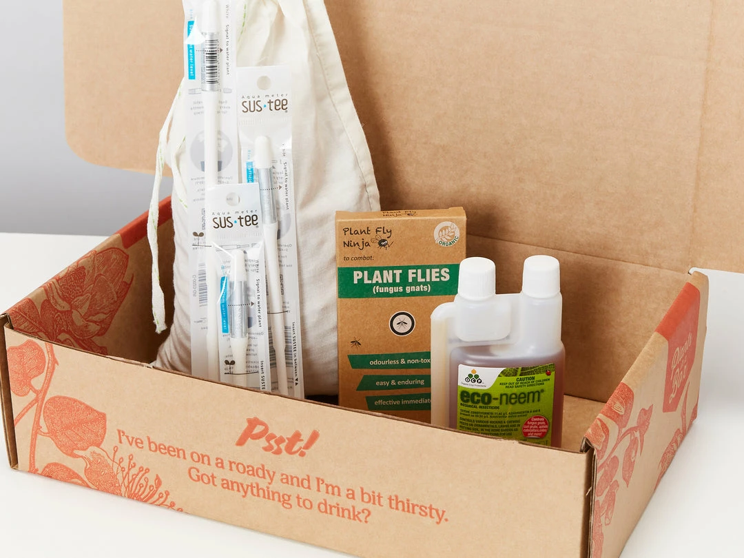Plants In A Box Fungal Gnat Pest Prevention Pack Gift Kits 3 Plants In A Box Fungal Gnat Pest Prevention Pack Gift Kits