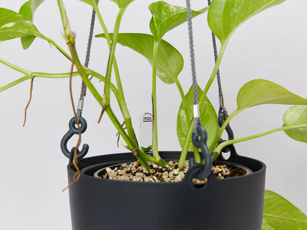 Gifts Pots & Hanging Baskets Eco-Friendly Self-Watering Hanging Basket 12 Gifts Pots & Hanging Baskets Eco-Friendly Self-Watering Hanging Basket
