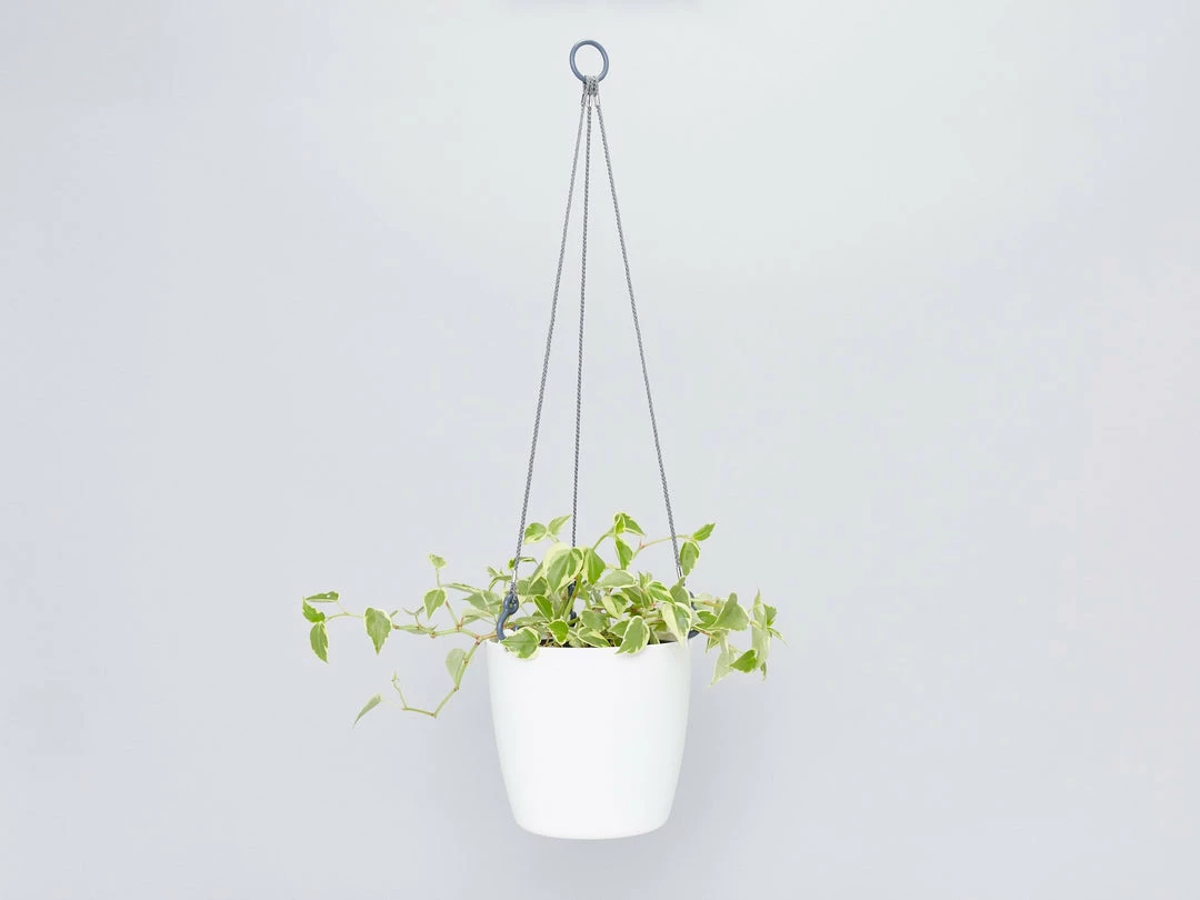 Gifts Pots & Hanging Baskets Eco-Friendly Self-Watering Hanging Basket 8 Gifts Pots & Hanging Baskets Eco-Friendly Self-Watering Hanging Basket