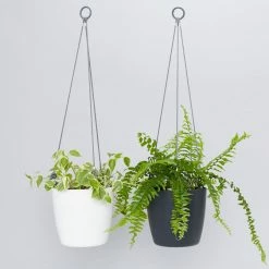 Indoor Garden Self-Watering Eco ♻️ Hanging Planter - Pot + Plant + Soil Office & Home Office