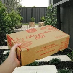 Shrubs A Full Sun - Totally Minimal Effort Garden Pack