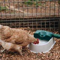 Hoselink Auto-fill Pet Bowl + 5m Hose & Tap Connector Hoses & Sprinklers