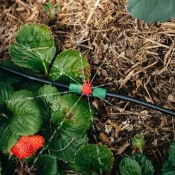 Hoselink Mini Sprinkler Kit