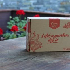 Shrubs Dracaena Draco Dragon Tree Full Sun