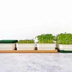 Micropod Continuous Grow Kit Gift Kits