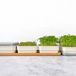 Micropod Continuous Grow Kit Gift Kits