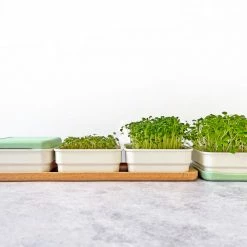 Micropod Continuous Grow Kit Gift Kits