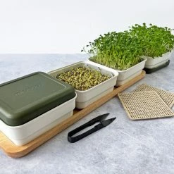 Micropod Continuous Grow Kit Gift Kits