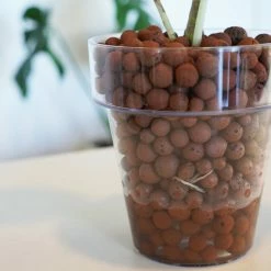 LECA - Canna Aqua Clay Balls 1L Bags Outdoor Accessories 17 LECA - Canna Aqua Clay Balls 1L Bags Outdoor Accessories