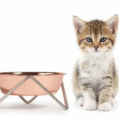 Bendo Lux Cat Bowls - Mix 'n' Match
