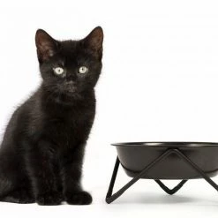 Bendo Lux Cat Bowls - Mix 'n' Match