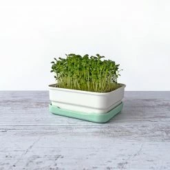 Micropod Mini Starter Kit