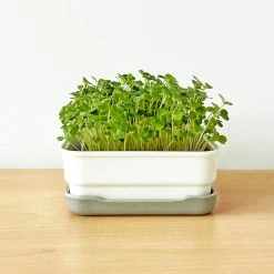 Micropod Mini Starter Kit