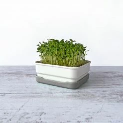 Micropod Mini Starter Kit