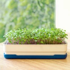 Micropod Starter Kit Gift Kits