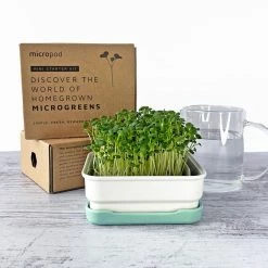 Micropod Mini Starter Kit