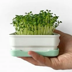 Micropod Mini Starter Kit