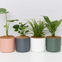 Elho Pots & Hanging Baskets Round Eco-Friendly Planters - Self-Watering