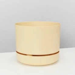 Indoor Garden Pet-friendly Indoor Plants Mr Kitly 6 Houseplants & 6 Pots - Pet-Friendly Edition